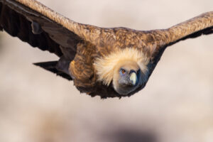Seiten » Photo+Adventure