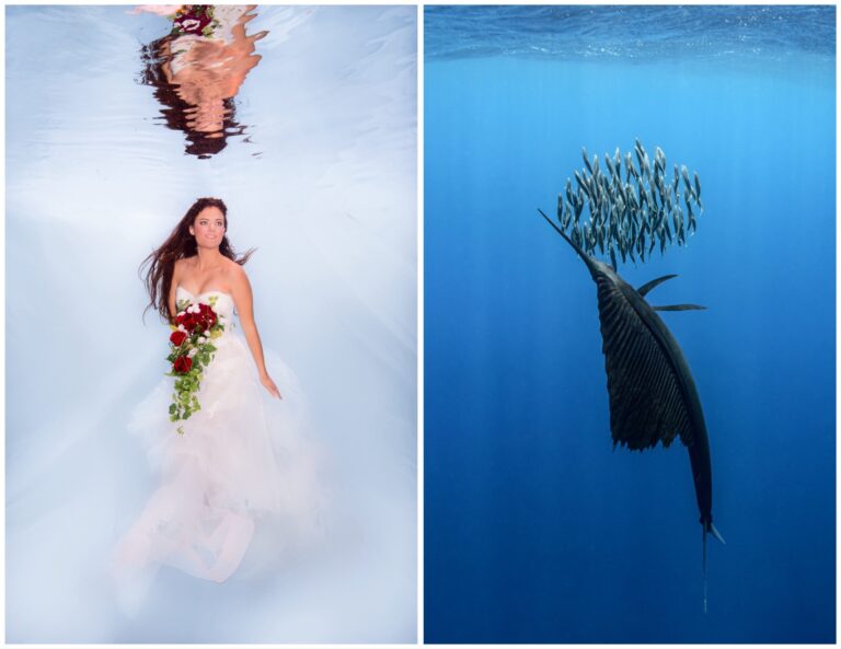 Events &raquo; Photo+Adventure