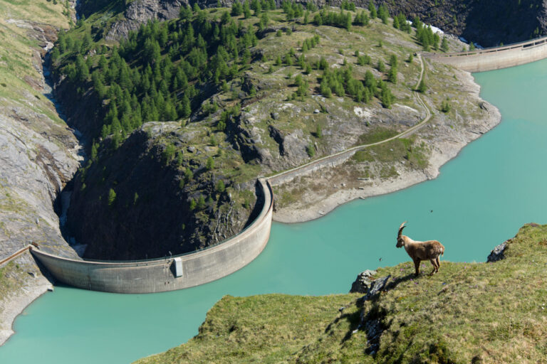Die Natur und wir