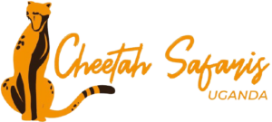 Cheetah Safaris Uganda &raquo; Photo+Adventure