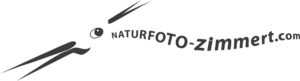 Naturfoto Zimmert » Photo+Adventure