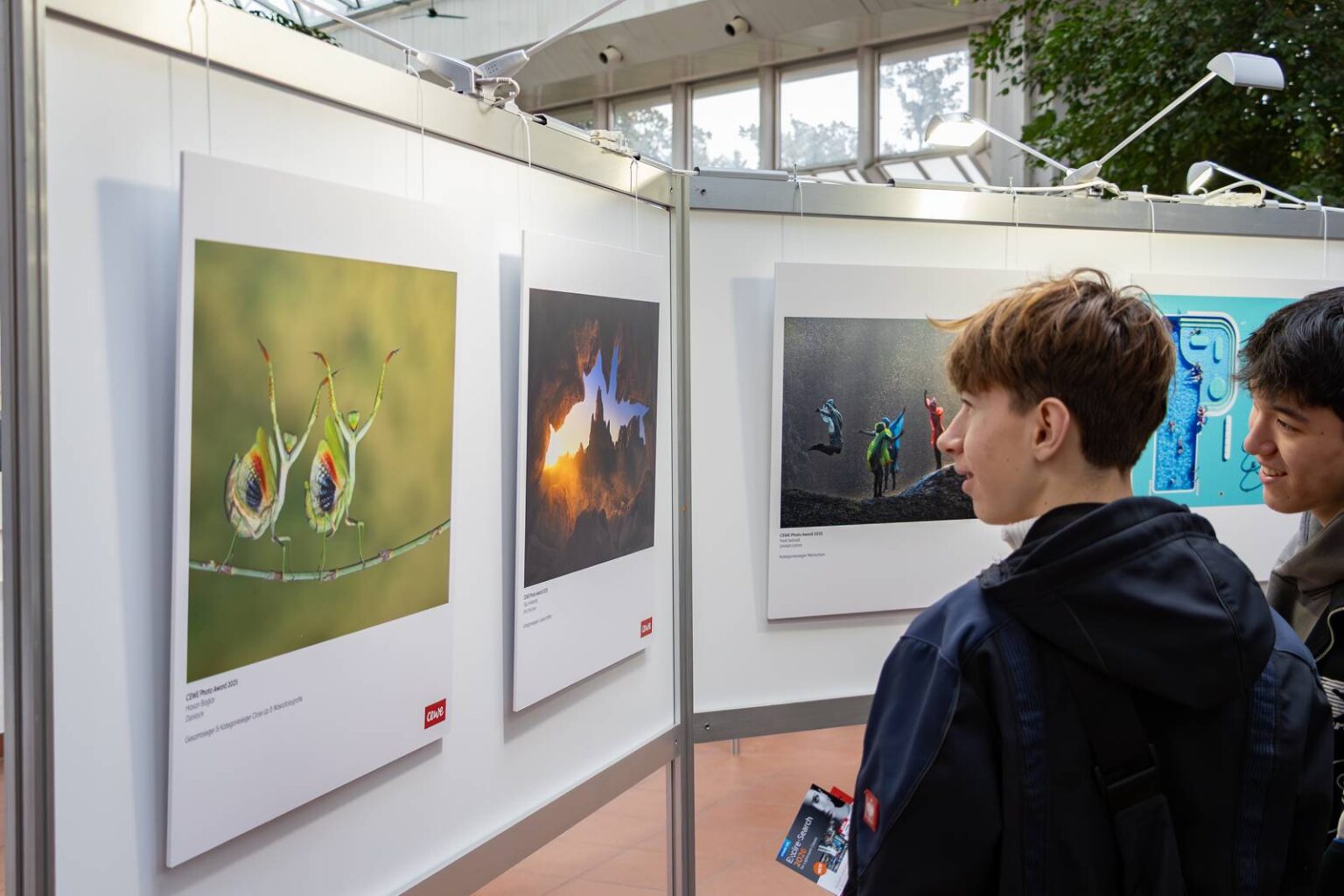 Besucher betrachten Siegerbilder eines Fotowettbewerbs