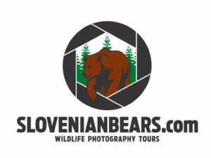 Slovenianbears.com » Photo+Adventure